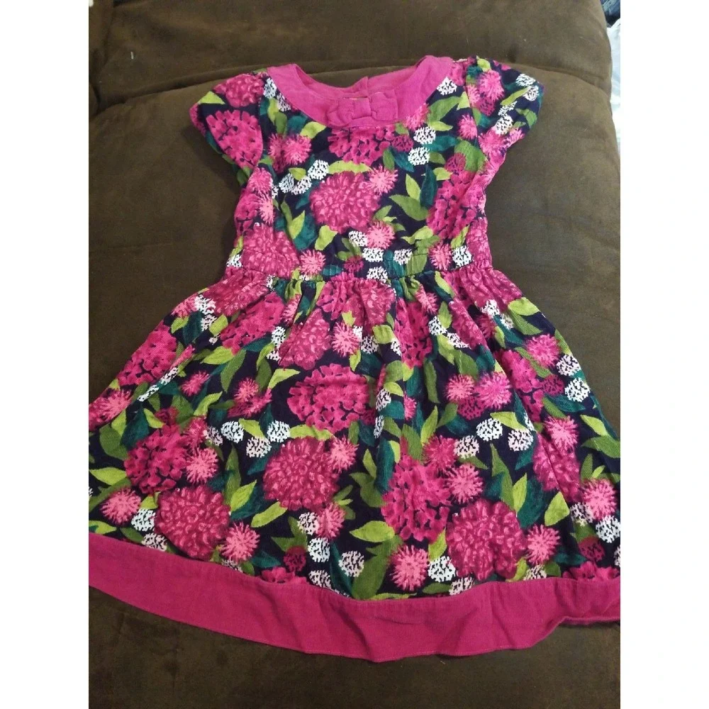 Gymboree plum pony‎ floral dress 5t